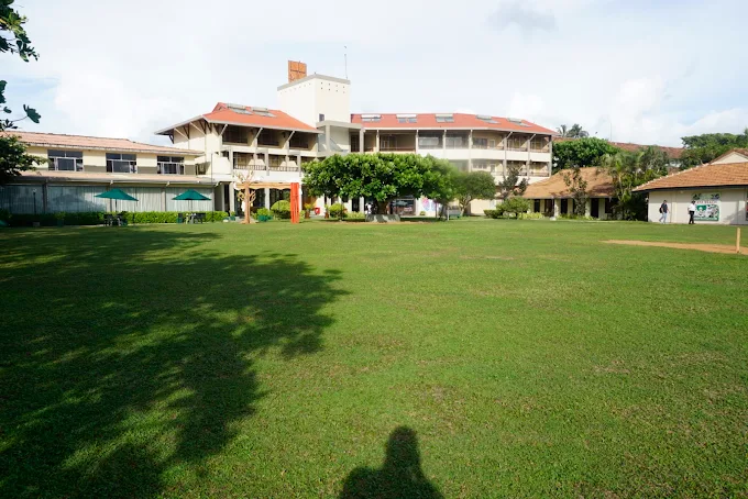 Ground area 